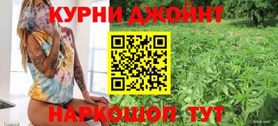 spice Кунгур