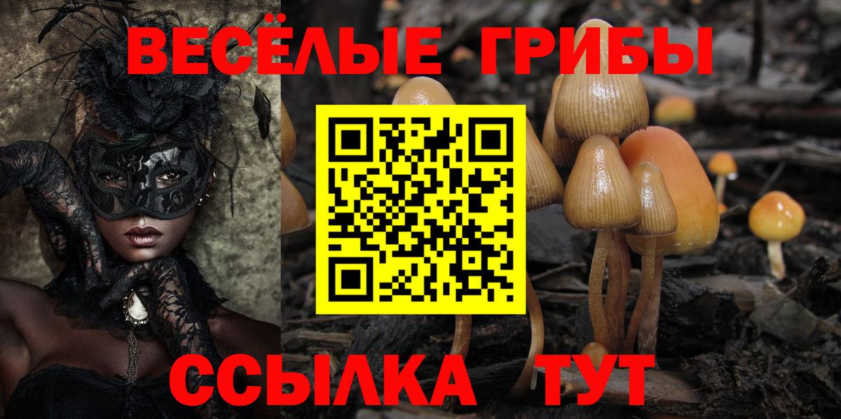Галлюциногенные грибы Magic Shrooms Копейск