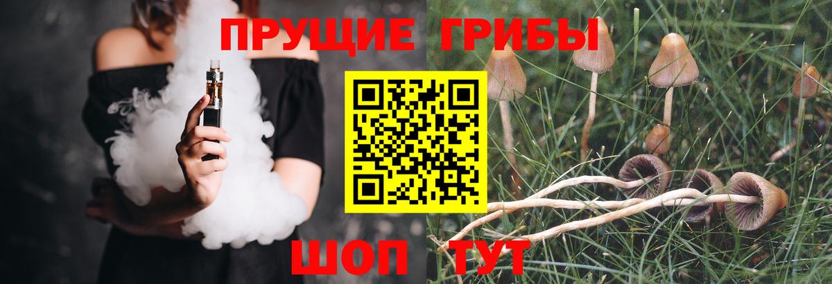 Псилоцибиновые грибы Psilocybe  сколько стоит  Копейск  Вход с VPN 